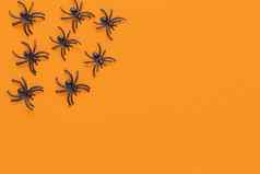 万圣节平躺黑色的蜘蛛橙色背景复制空间最小的风格水平糖果概念