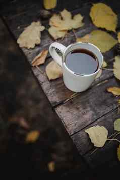 木表格秋天公园杯茶咖啡分散黄色的叶子松视锥细胞前视图模糊秋天温暖的黑暗情绪软焦点