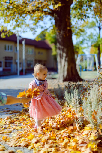 可爱的女孩有趣的美丽的秋天一天真实的童年图像