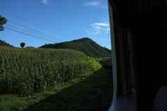 视图火车铁路使曲线弯曲美丽的自然绿色草原山旅行泰国