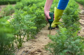 测量土壤数字设备绿色植物女人农民