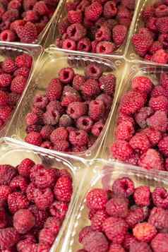 树莓架子上市场