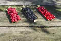 红色的黑色的树莓蓝莓