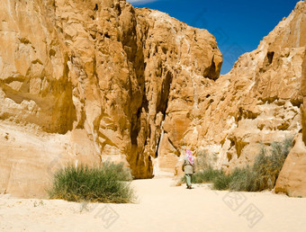 贝都因人白色峡谷沙漠岩石