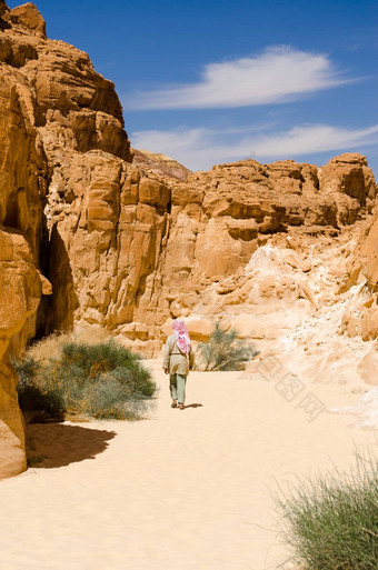 贝都因人走岩石沙漠峡谷埃及dahab