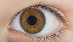 人类眼睛棕色（的）颜色