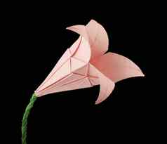 粉红色的花折纸黑色的孤立的