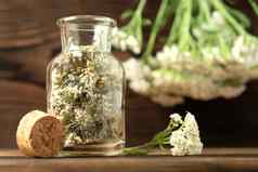 概念顺势疗法Herbal治疗干蓍属毫叶草亚罗瓶