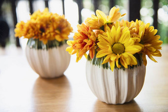 新鲜的色彩斑斓的小太阳花陶瓷能黄色的花装饰背景