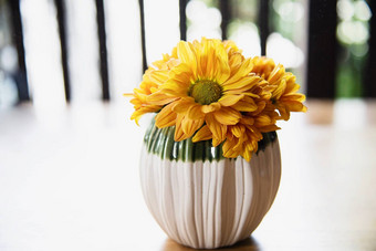 新鲜的色彩斑斓的小太阳花陶瓷能黄色的花装饰背景
