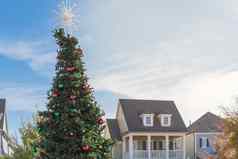 圣诞节树雪花树高档的东西色彩斑斓的玻璃饰品球白天