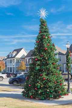 圣诞节树雪花色彩斑斓的玻璃饰品球白天达维德州