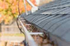 堵塞男孩屋顶带状疱疹色彩斑斓的秋天树叶背景