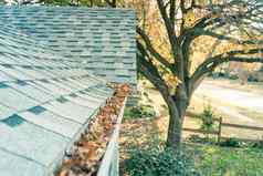 堵塞男孩前面院子里屋顶带状疱疹住宅房子完整的干叶子