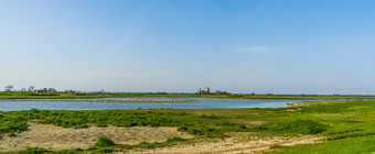 沙克卢圩田托伦城市农村建筑距离自然风景泽兰荷兰