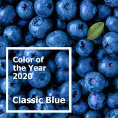 蓝莓颜色一年经典蓝色的