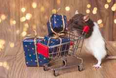 可爱的老鼠站购物车圣诞节一年的礼物象征一年一年老鼠一年购物概念