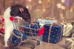 可爱的宠物老鼠购物车礼物一年白色老鼠购物电车盒子礼物老鼠象征一年