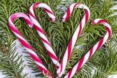 红色的白色糖果拐杖一年的甜蜜的糖果拐杖背景新鲜的分支机构一年树概念圣诞节喝