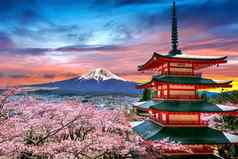 樱桃花朵春天Chureito宝塔富士山日落日本