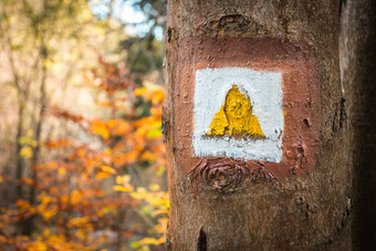 旅游<strong>标志</strong>马克树旅游路径不错的秋天场景背景福勒斯特小道