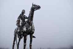 盖尔语酋长雕塑英雄包围雾博伊尔县罗斯康芒爱尔兰