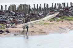 渔夫扔钓鱼网美丽的平静回水海滩热带马拉巴尔海岸晚上阿拉伯海海岸线距离马拉里海滩科钦喀拉拉邦印度南亚洲pac