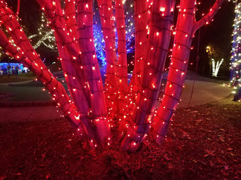 红色的假期灯树树干分支机构