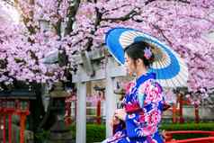 亚洲女人穿日本传统的和服樱桃开花春天《京都议定书》寺庙日本