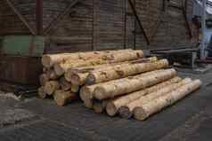 桩日志谎言森林平台锯木厂处理木材锯木厂