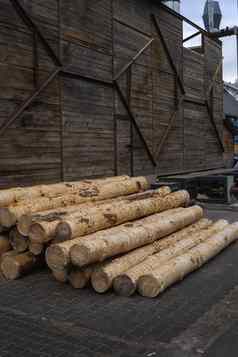 桩日志谎言森林平台锯木厂处理木材锯木厂