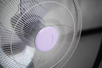 现代紫罗兰色的电风扇生活房间储蓄国人民热温度夏天天