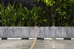 植物种植栅栏停车区域背景纹理