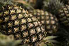 很多菠萝水果市场亚洲国家纹理背景菠萝热带异国情调的水果健康的维生素食物概念