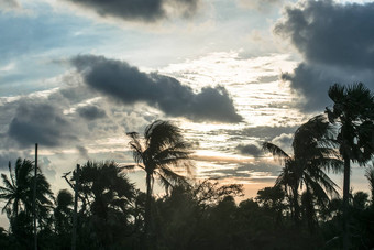椰子棕榈树轮廓太阳阳光日落令人惊异的天空Cloudscape背景远程岛热带海滩黄昏晚上时间孩子宁静的<strong>场景</strong>环境火岛加拿<strong>大</strong>