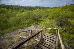 科图巴纳马国家公园多米尼加共和国