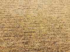 棕色（的）黄色的地毯纤维关闭