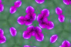 想象一下紫色的病毒图片绿色背景