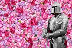 花背景美丽的粉红色的牡丹中世纪的骑士护甲浪漫的骑士的图片