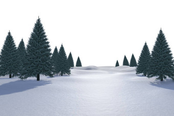 白色雪景观冷杉树