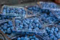 扁篮新鲜的蓝莓