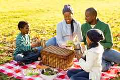 年轻的微笑家庭野餐