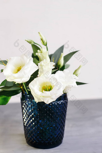 白色花经典蓝色的玻璃桔梗eustoma