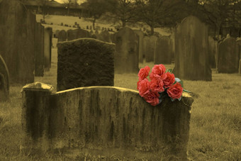 空白墓碑上墓地群红色的玫瑰