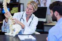 理疗师解释脊柱模型病人