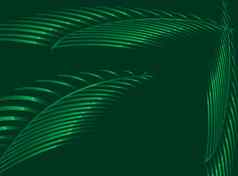 绿色棕榈分支叶子背景