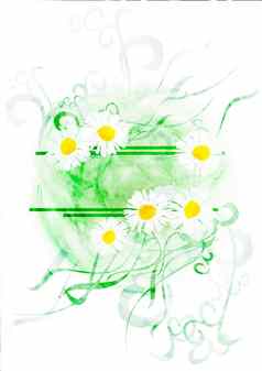 水彩横幅Chamomiles雏菊孤立的白色