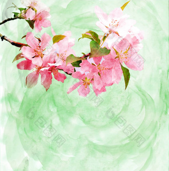 春天树开<strong>花水</strong>彩插图