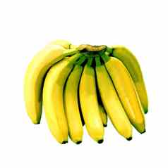 新鲜的黄色的香蕉水果