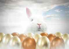 复活节兔子黄金鸡蛋前面蓝色的天空